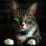 Feature image